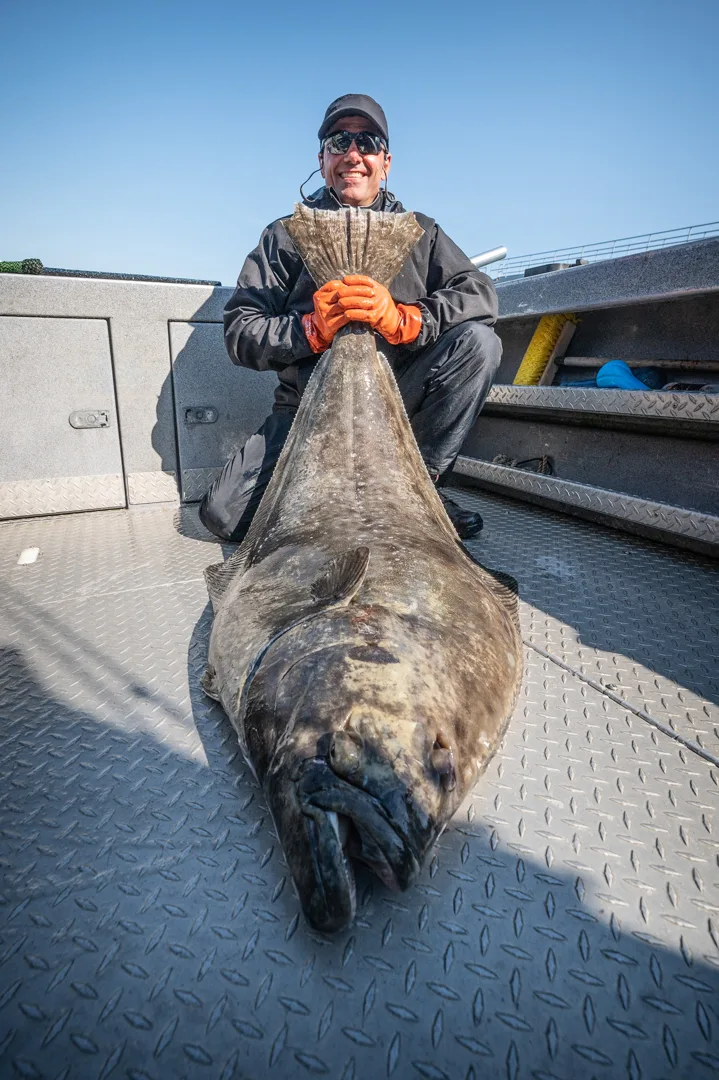 Angler in orange gloves holds a large halibut by the tail on the aluminum deck of a fishing boat, clear blue sky behind.