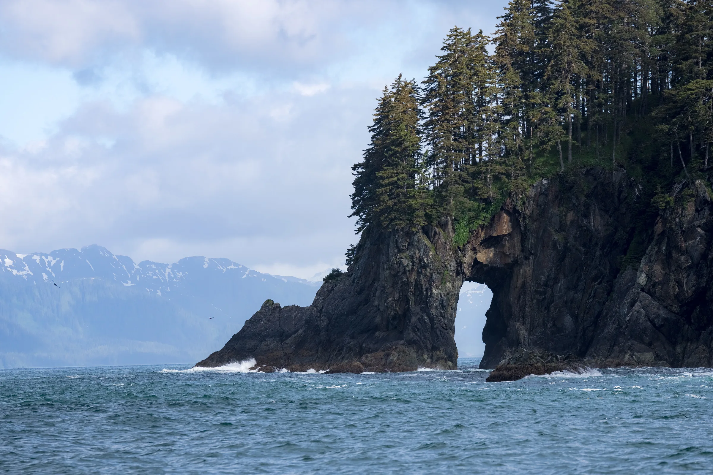 Rocky sea arch topped with Sitka spruce, snow-capped mountains receding into mist beyond choppy green water.