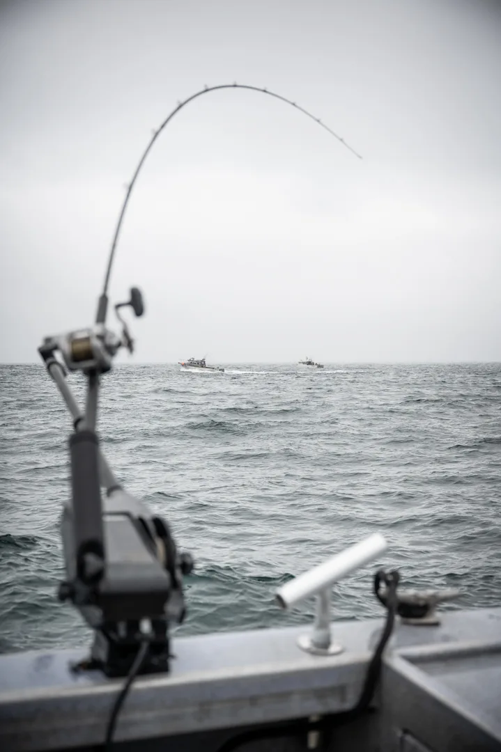 Rod bent under load in rod holder on boat stern, two charter vessels working open water on overcast day.