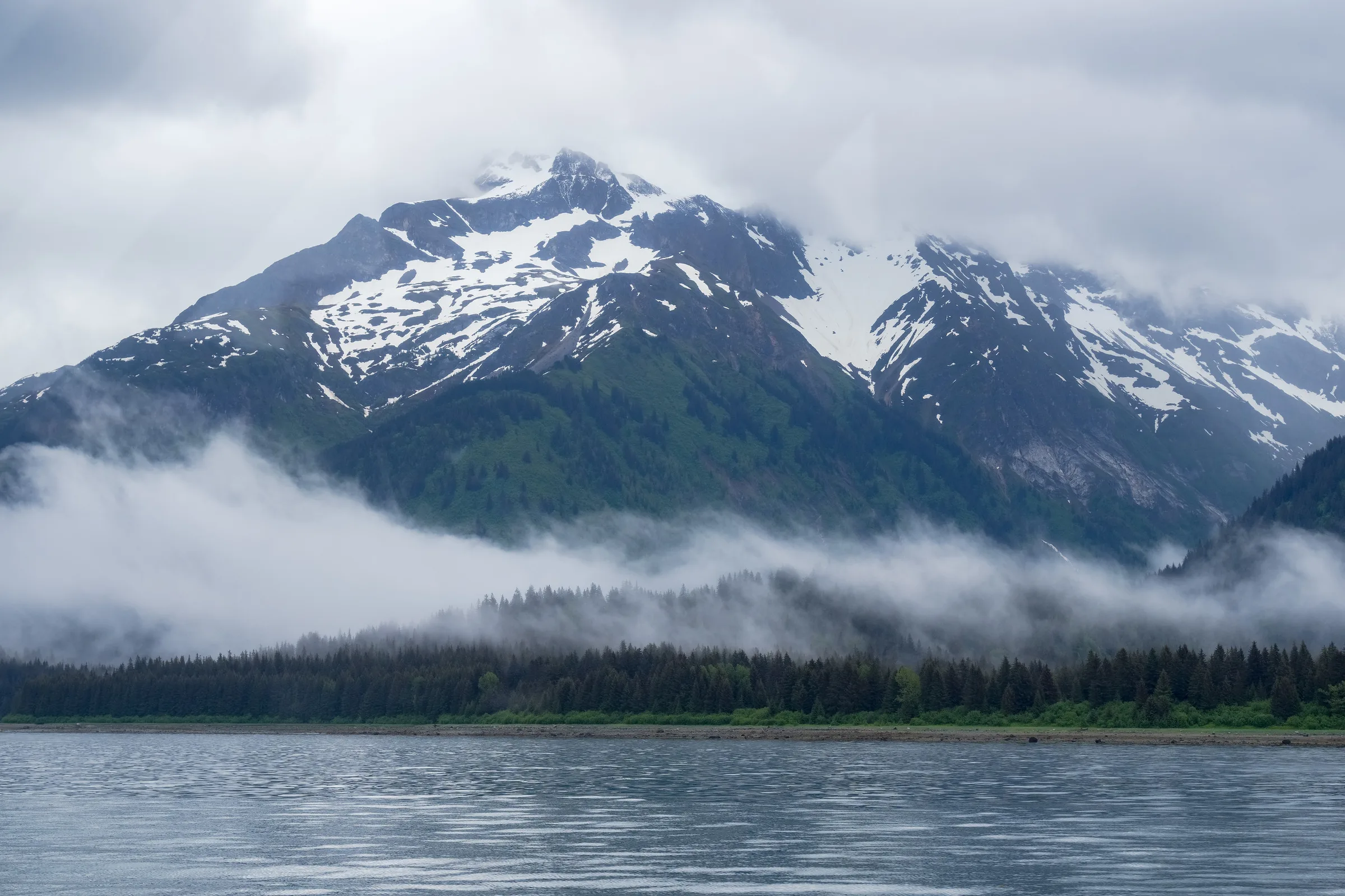 Snow-capped peak rising above a fog-wrapped spruce shoreline, viewed across calm gray water near Gustavus.