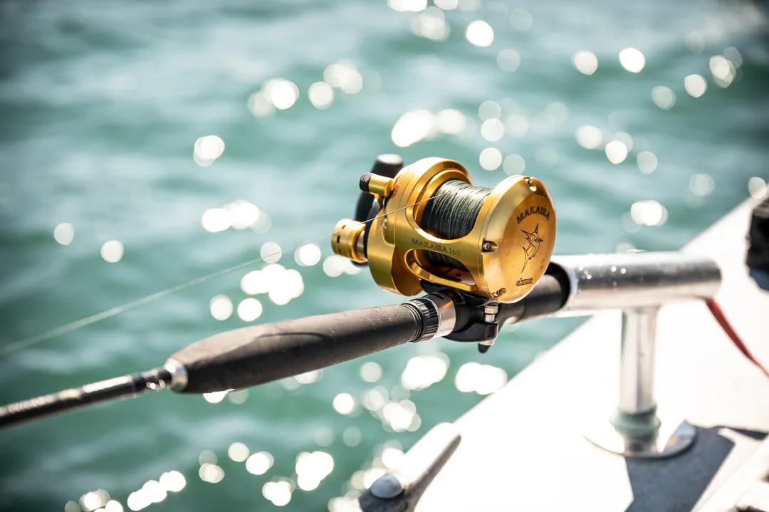 Gold Makaira lever-drag reel loaded with braid, mounted in a rod holder on the gunwale; sunlit water behind.