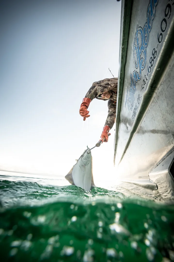 Angler in camo gear and rubber gloves hauls a halibut over the gunwale, shot from water level beside the hull.