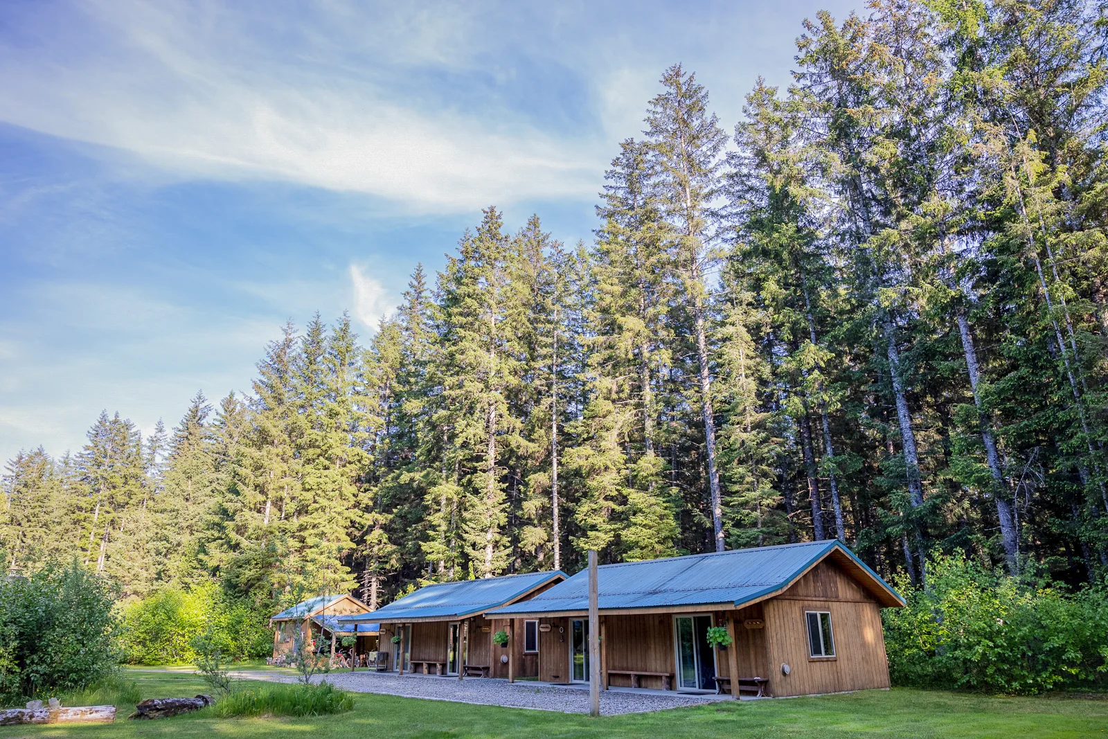 Wood-sided lodge cabins with metal roofs set against tall Sitka spruce, open lawn in foreground, blue sky above.