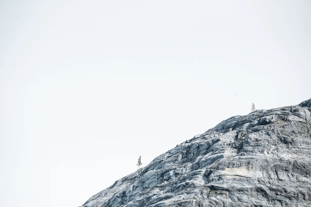 Two small conifers clinging to a bare granite ridge against a flat white sky, southeast Alaska.