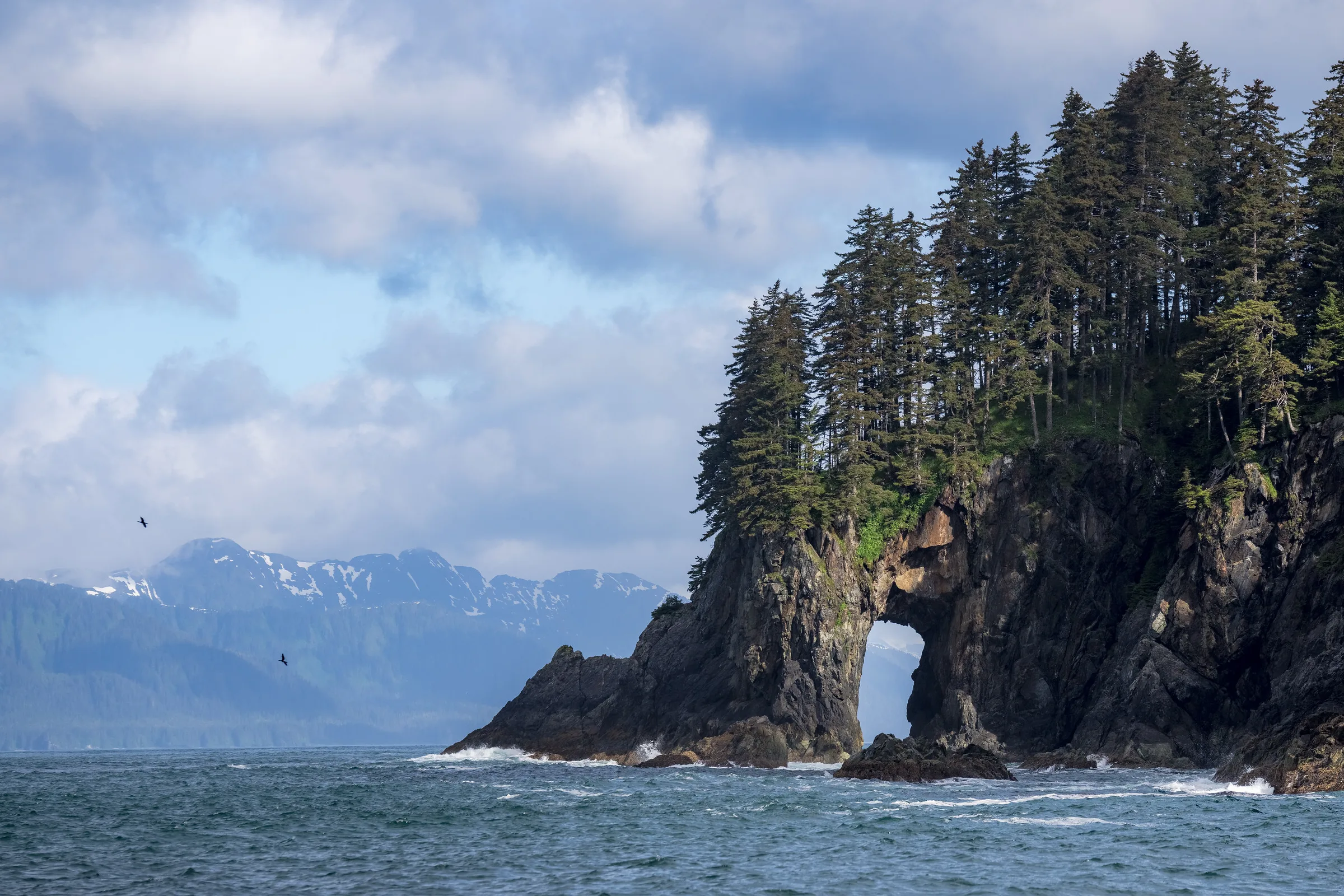 Rocky sea arch and spruce-covered headland with snow-capped mountains receding into mist, two birds in flight