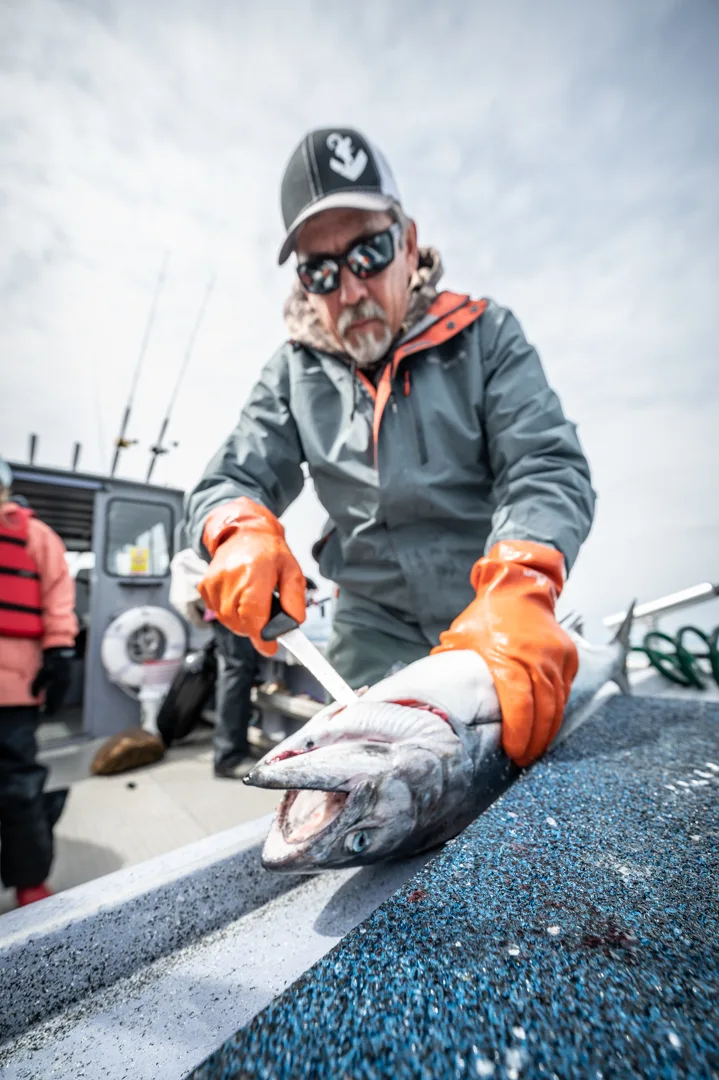 Bearded angler in orange rubber gloves fillets a salmon on the boat's cleaning table, rod rack visible behind.
