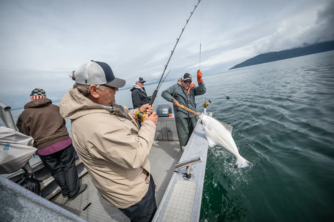 Angler works a reel as guide hauls a halibut over the gunwale on calm Icy Strait water, mountains in the distance.