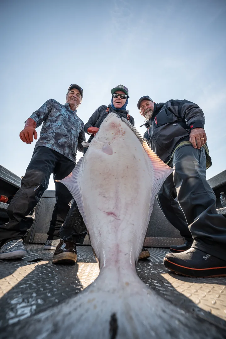 Three anglers crouch behind a large halibut laid flat on a boat deck, shot from ground level looking up.