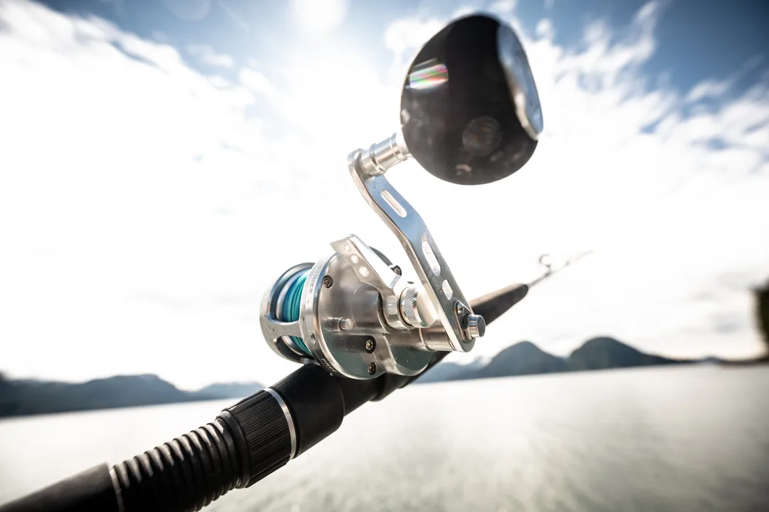 Close-up of a conventional fishing reel on a rod, calm water and coastal mountains soft in the background.
