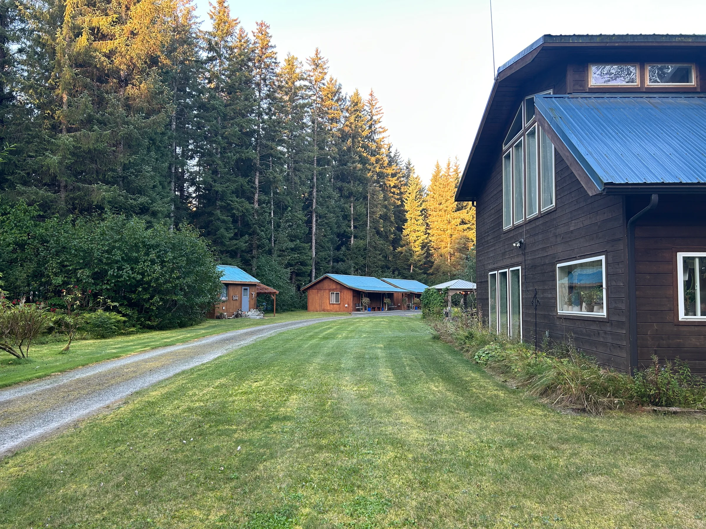 Main lodge building and guest cabins with blue metal roofs along a gravel drive, Sitka spruce forest at dusk behind.